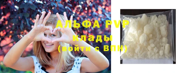 крисы Алзамай