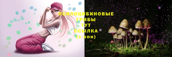 твердый Алексин
