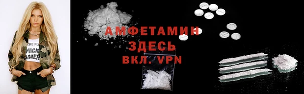 крисы Алзамай