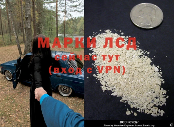 крисы Алзамай